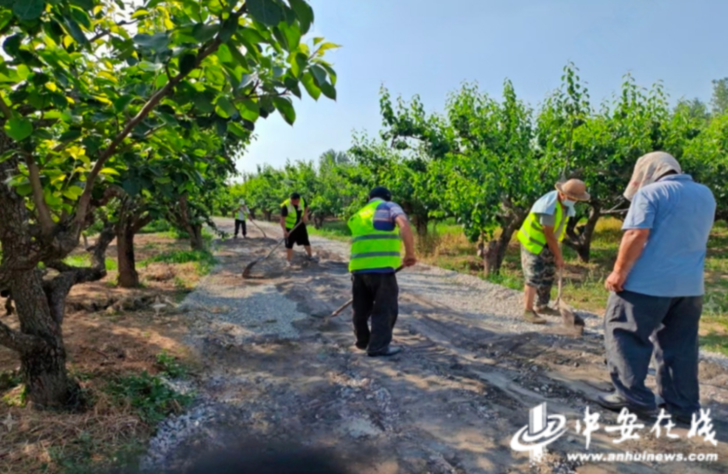 一条路三重变